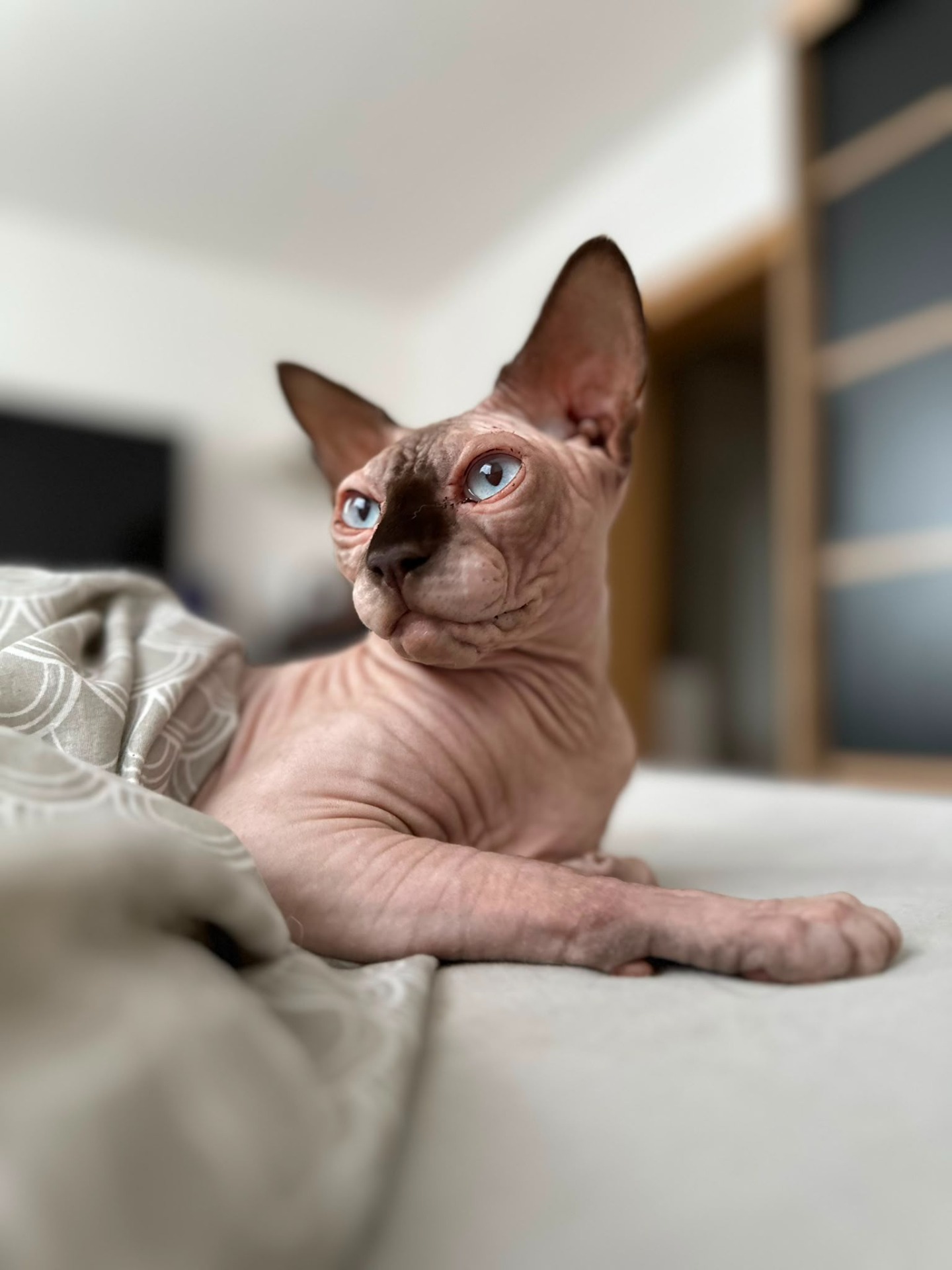Oskar